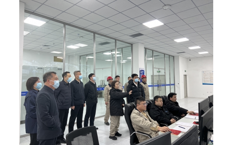 Guo Yunfeng, acting mayor of Liaoyang City, led a team to kelong to investigate the shares